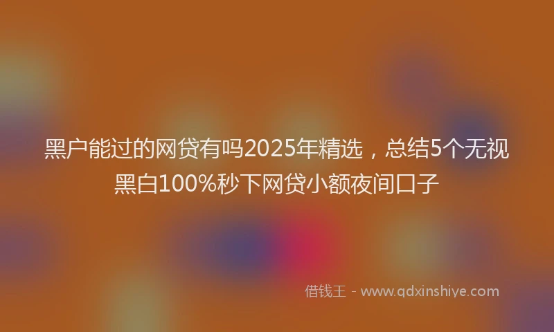 黑户能过的网贷有吗2025年精选，总结5个无视黑白100%秒下网贷小额夜间口子
