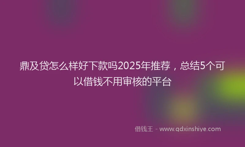 鼎及贷怎么样好下款吗2025年推荐，总结5个可以借钱不用审核的平台