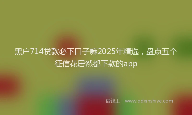黑户714贷款必下口子嘛2025年精选，盘点五个征信花居然都下款的app