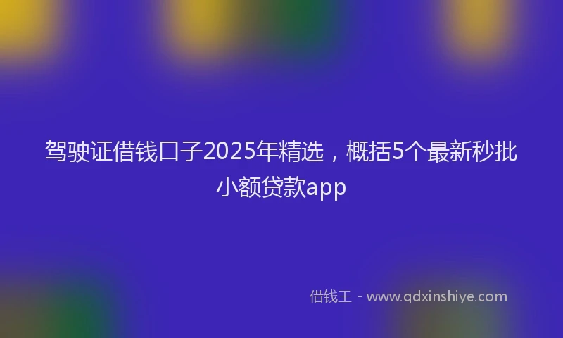 驾驶证借钱口子2025年精选，概括5个最新秒批小额贷款app