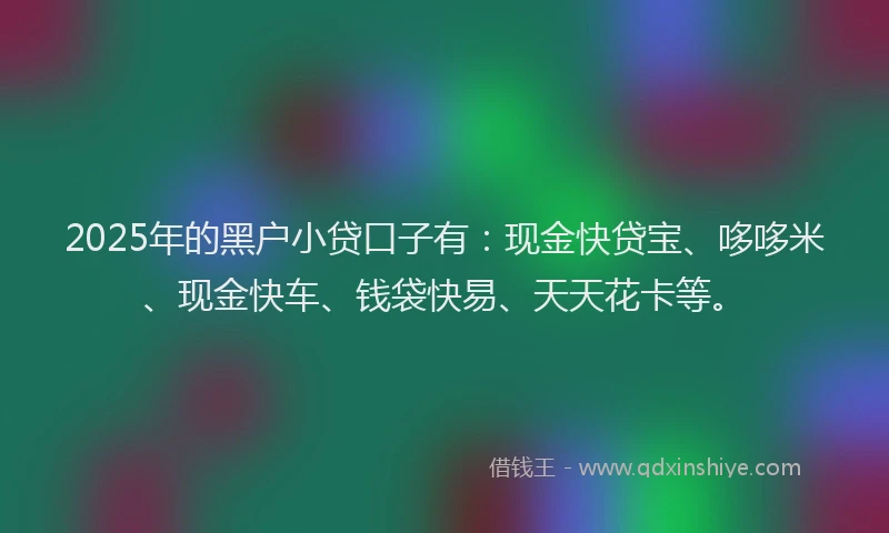 2025年的黑户小贷口子有：现金快贷宝、哆哆米、现金快车、钱袋快易、天天花卡等。