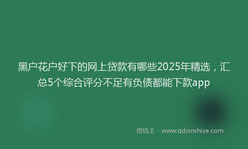 黑户花户好下的网上贷款有哪些2025年精选，汇总5个综合评分不足有负债都能下款app