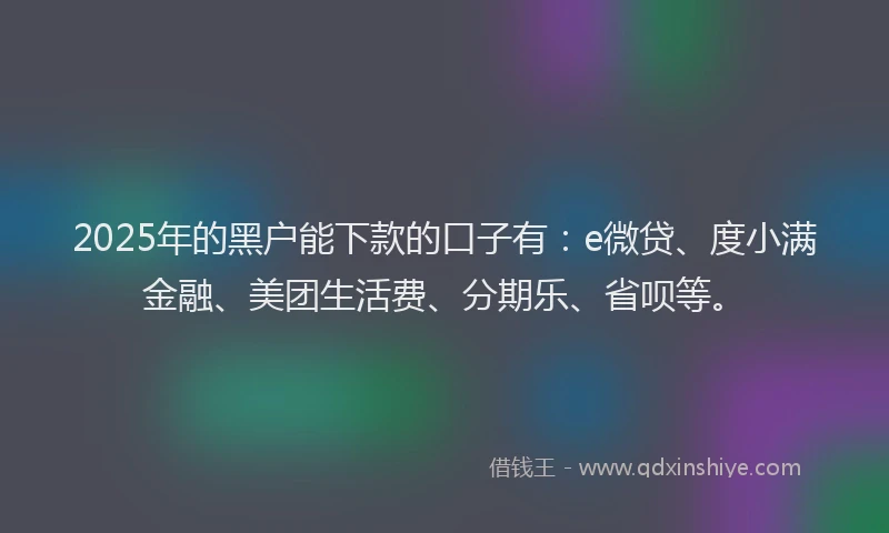 2025年的黑户能下款的口子有：e微贷、度小满金融、美团生活费、分期乐、省呗等。