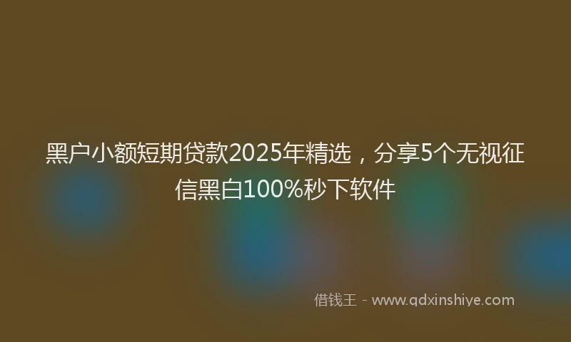 黑户小额短期贷款2025年精选，分享5个无视征信黑白100%秒下软件