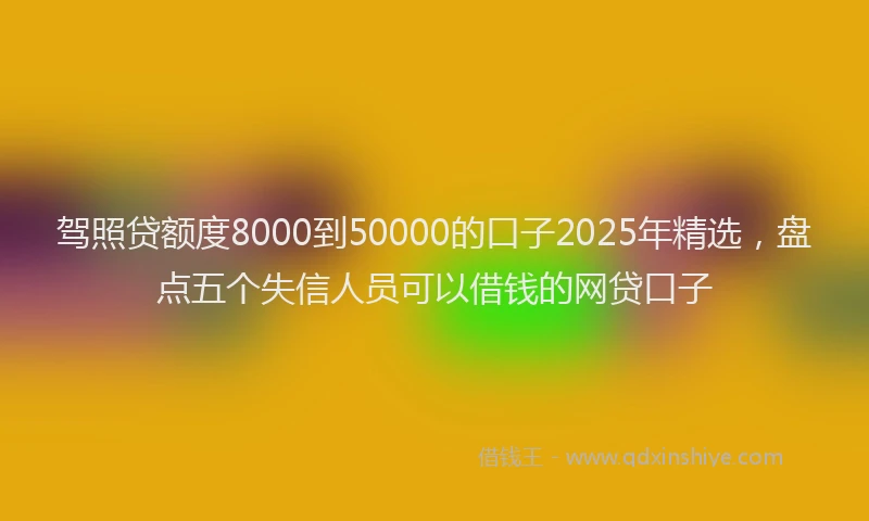 驾照贷额度8000到50000的口子2025年精选，盘点五个失信人员可以借钱的网贷口子