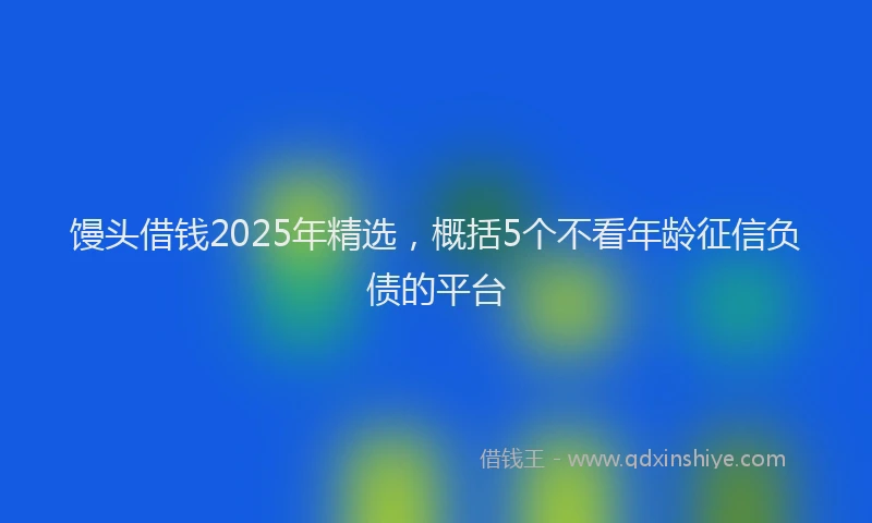 馒头借钱2025年精选，概括5个不看年龄征信负债的平台