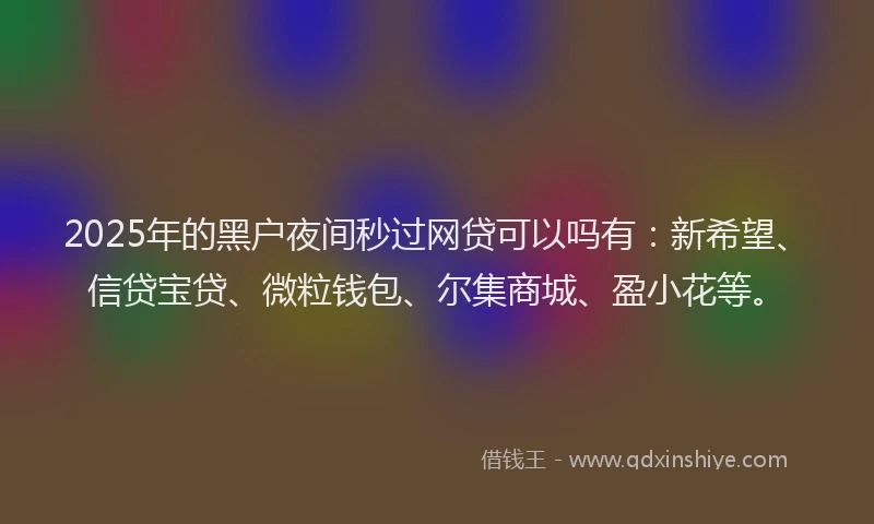 2025年的黑户夜间秒过网贷可以吗有：新希望、信贷宝贷、微粒钱包、尔集商城、盈小花等。