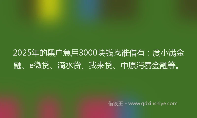 2025年的黑户急用3000块钱找谁借有：度小满金融、e微贷、滴水贷、我来贷、中原消费金融等。