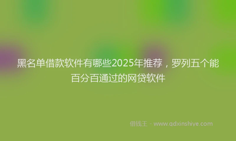 黑名单借款软件有哪些2025年推荐，罗列五个能百分百通过的网贷软件