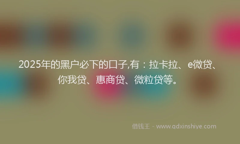 2025年的黑户必下的口子,有：拉卡拉、e微贷、你我贷、惠商贷、微粒贷等。