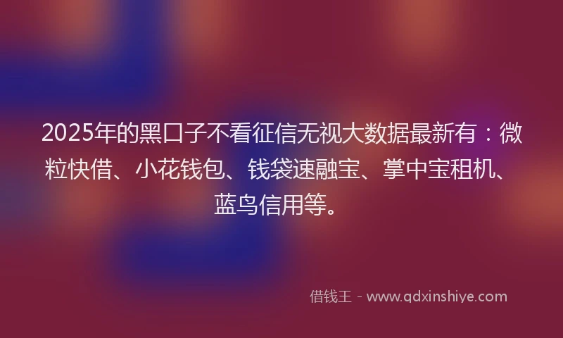 2025年的黑口子不看征信无视大数据最新有:微粒快借、小花钱包、钱袋速融宝、掌中宝租机、蓝鸟信用等。