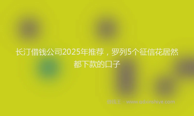 长汀借钱公司2025年推荐，罗列5个征信花居然都下款的口子