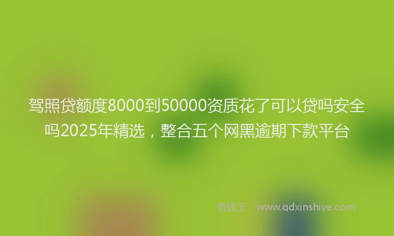 驾照贷额度8000到50000资质花了可以贷吗安全吗2025年精选，整合五个网黑逾期下款平台
