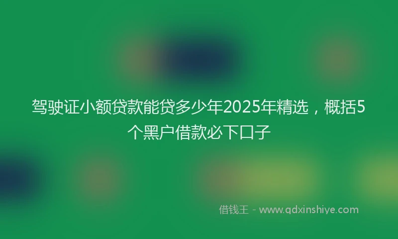 驾驶证小额贷款能贷多少年2025年精选，概括5个黑户借款必下口子