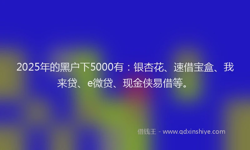 2025年的黑户下5000有：银杏花、速借宝盒、我来贷、e微贷、现金侠易借等。