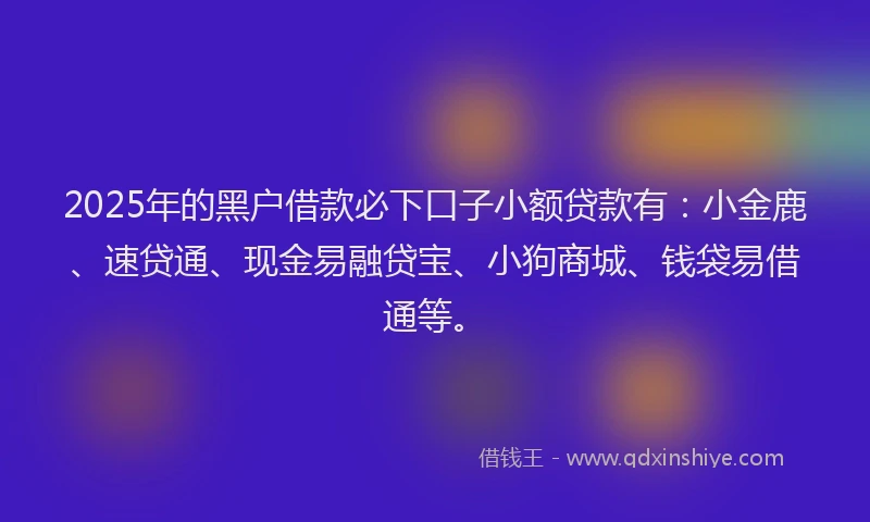 2025年的黑户借款必下口子小额贷款有：小金鹿、速贷通、现金易融贷宝、小狗商城、钱袋易借通等。