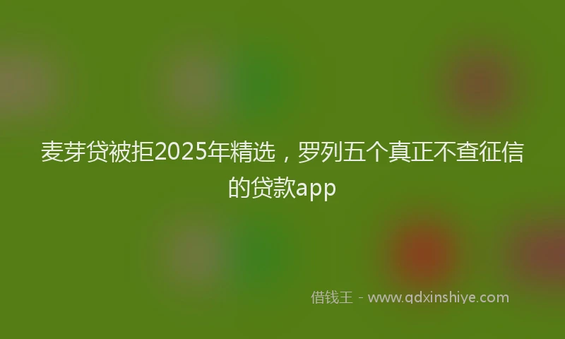 麦芽贷被拒2025年精选，罗列五个真正不查征信的贷款app