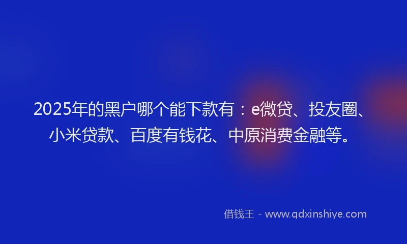 2025年的黑户哪个能下款有：e微贷、投友圈、小米贷款、百度有钱花、中原消费金融等。