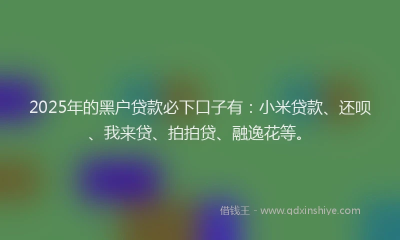 2025年的黑户贷款必下口子有：小米贷款、还呗、我来贷、拍拍贷、融逸花等。
