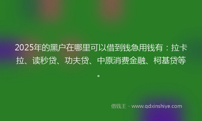 2025年的黑户在哪里可以借到钱急用钱有：拉卡拉、读秒贷、功夫贷、中原消费金融、柯基贷等。