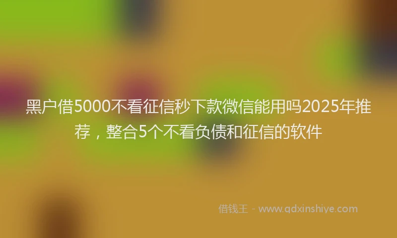 黑户借5000不看征信秒下款微信能用吗2025年推荐，整合5个不看负债和征信的软件