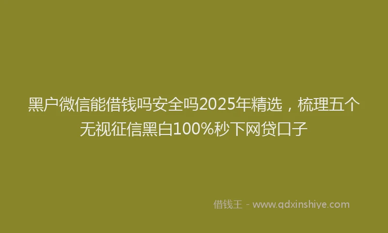 黑户微信能借钱吗安全吗2025年精选，梳理五个无视征信黑白100%秒下网贷口子