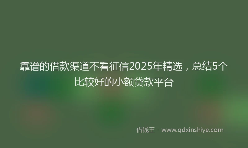 靠谱的借款渠道不看征信2025年精选，总结5个比较好的小额贷款平台