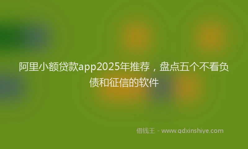 阿里小额贷款app2025年推荐，盘点五个不看负债和征信的软件