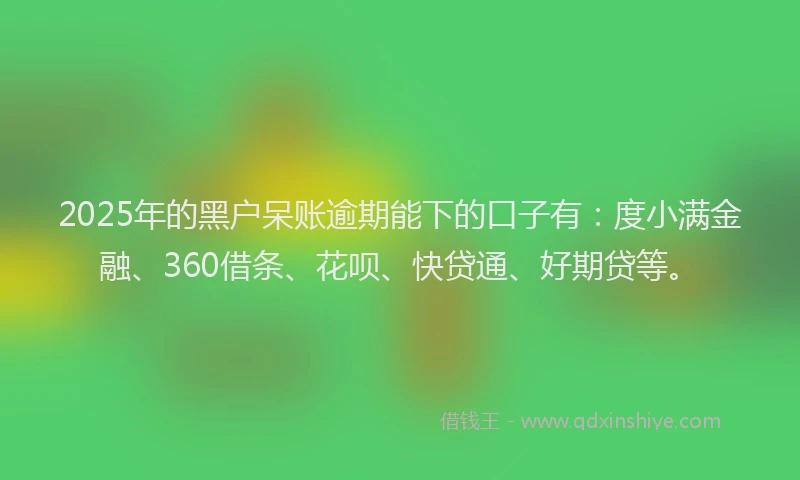 2025年的黑户呆账逾期能下的口子有：度小满金融、360借条、花呗、快贷通、好期贷等。