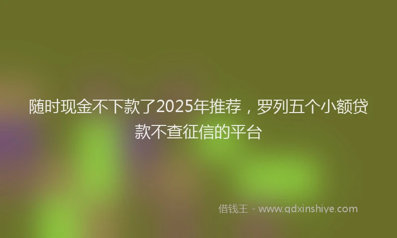 随时现金不下款了2025年推荐，罗列五个小额贷款不查征信的平台