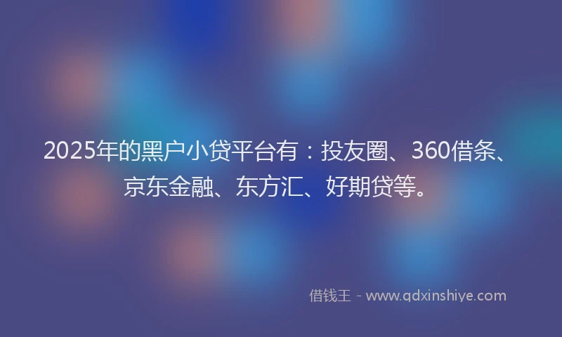 2025年的黑户小贷平台有：投友圈、360借条、京东金融、东方汇、好期贷等。