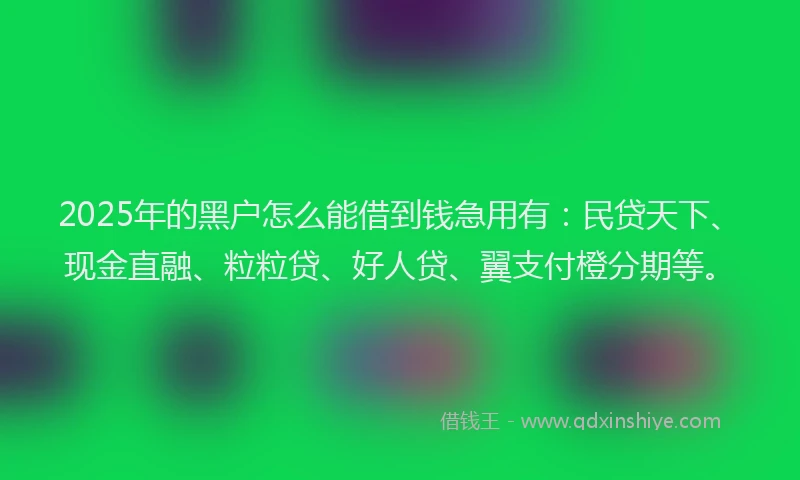 2025年的黑户怎么能借到钱急用有：民贷天下、现金直融、粒粒贷、好人贷、翼支付橙分期等。
