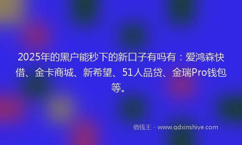 2025年的黑户能秒下的新口子有吗有：爱鸿森快借、金卡商城、新希望、51人品贷、金瑞Pro钱包等。