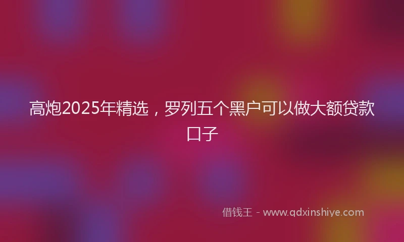 高炮2025年精选，罗列五个黑户可以做大额贷款口子