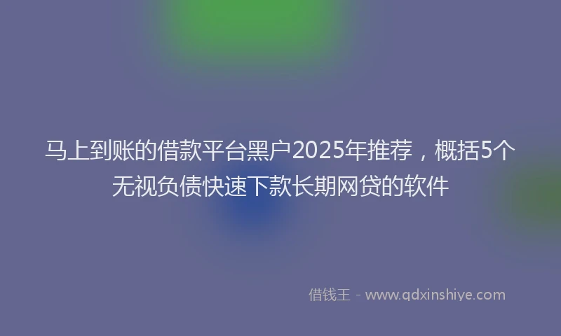 马上到账的借款平台黑户2025年推荐，概括5个无视负债快速下款长期网贷的软件