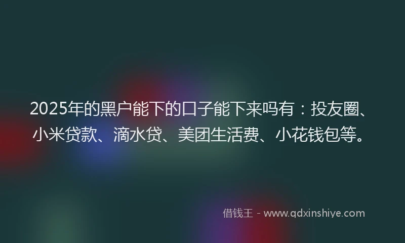 2025年的黑户能下的口子能下来吗有：投友圈、小米贷款、滴水贷、美团生活费、小花钱包等。