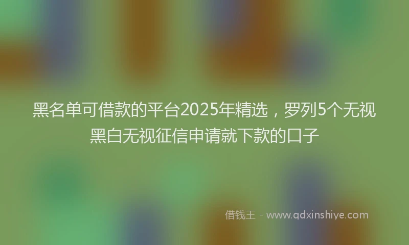 黑名单可借款的平台2025年精选，罗列5个无视黑白无视征信申请就下款的口子