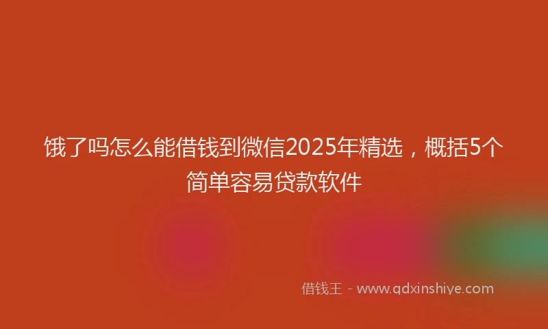 饿了吗怎么能借钱到微信2025年精选，概括5个简单容易贷款软件