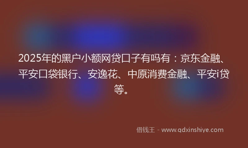 2025年的黑户小额网贷口子有吗有：京东金融、平安口袋银行、安逸花、中原消费金融、平安i贷等。