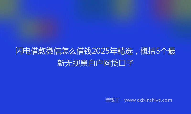 闪电借款微信怎么借钱2025年精选，概括5个最新无视黑白户网贷口子