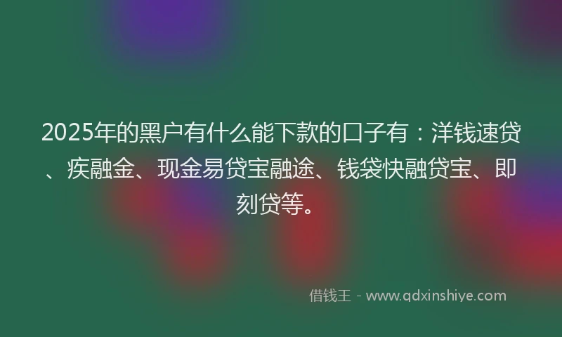 2025年的黑户有什么能下款的口子有：洋钱速贷、疾融金、现金易贷宝融途、钱袋快融贷宝、即刻贷等。