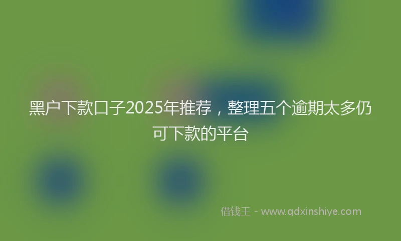 黑户下款口子2025年推荐，整理五个逾期太多仍可下款的平台