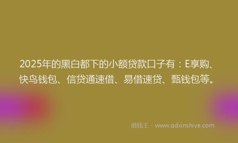 2025年的黑白都下的小额贷款口子有：E享购、快鸟钱包、信贷通速借、易借速贷、甄钱包等。