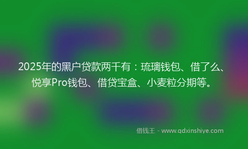 2025年的黑户贷款两千有：琉璃钱包、借了么、悦享Pro钱包、借贷宝盒、小麦粒分期等。