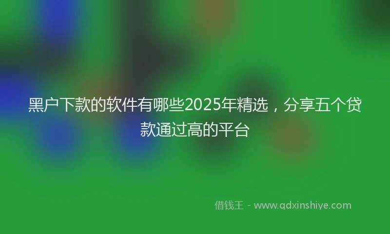 黑户下款的软件有哪些2025年精选，分享五个贷款通过高的平台