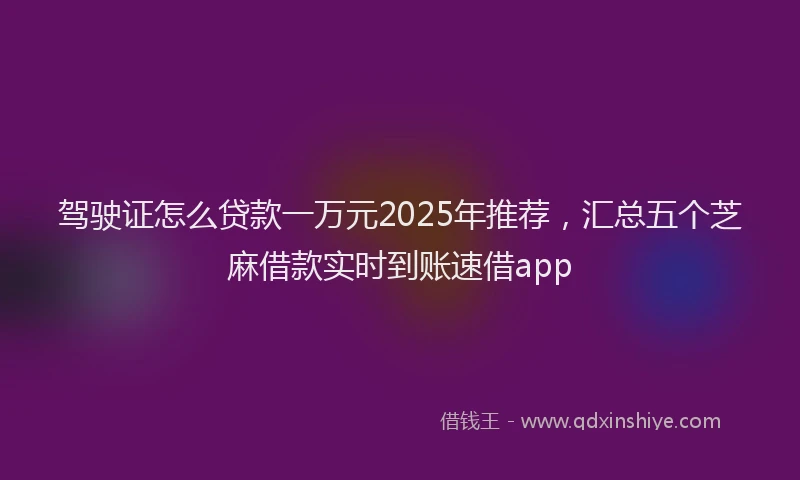 驾驶证怎么贷款一万元2025年推荐，汇总五个芝麻借款实时到账速借app