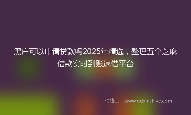 黑户可以申请贷款吗2025年精选，整理五个芝麻借款实时到账速借平台