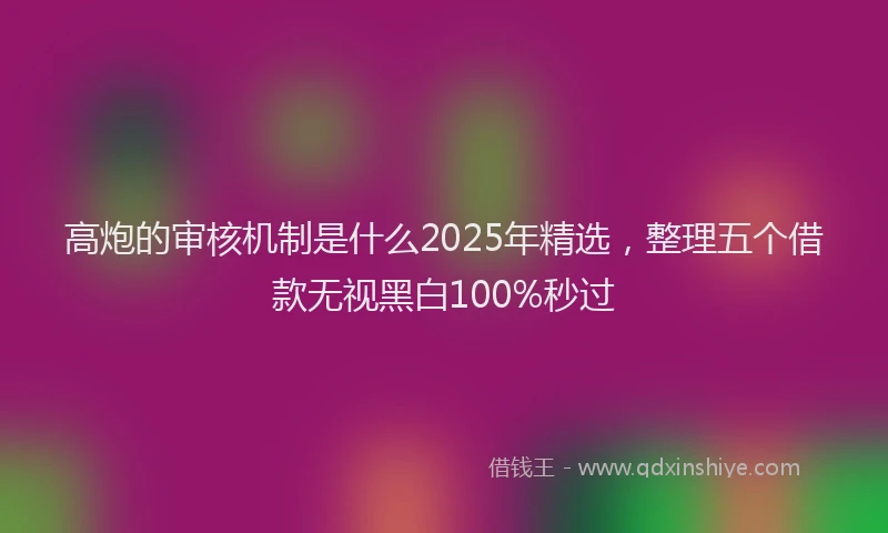 高炮的审核机制是什么2025年精选，整理五个借款无视黑白100%秒过