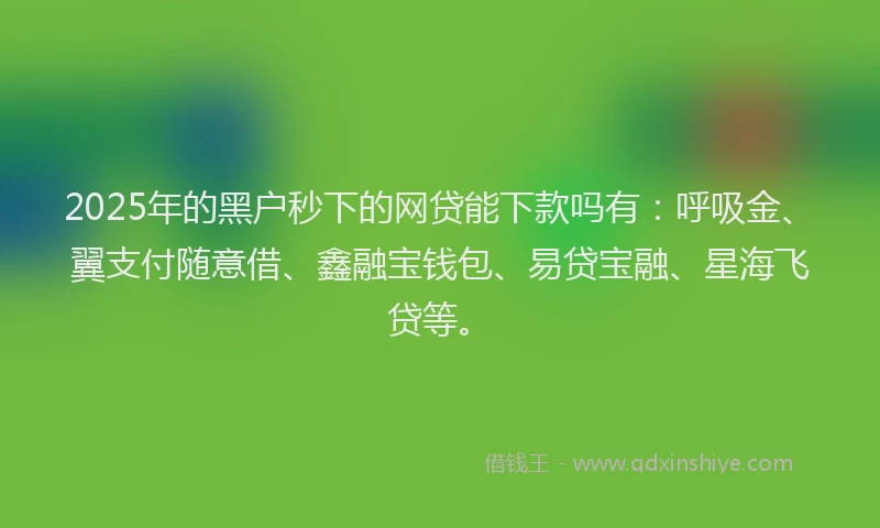 2025年的黑户秒下的网贷能下款吗有:呼吸金、翼支付随意借、鑫融宝钱包、易贷宝融、星海飞贷等。