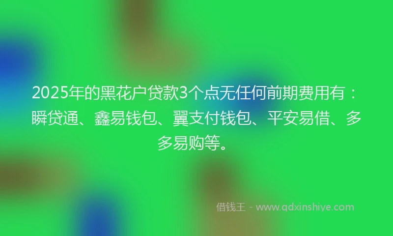 2025年的黑花户贷款3个点无任何前期费用有：瞬贷通、鑫易钱包、翼支付钱包、平安易借、多多易购等。